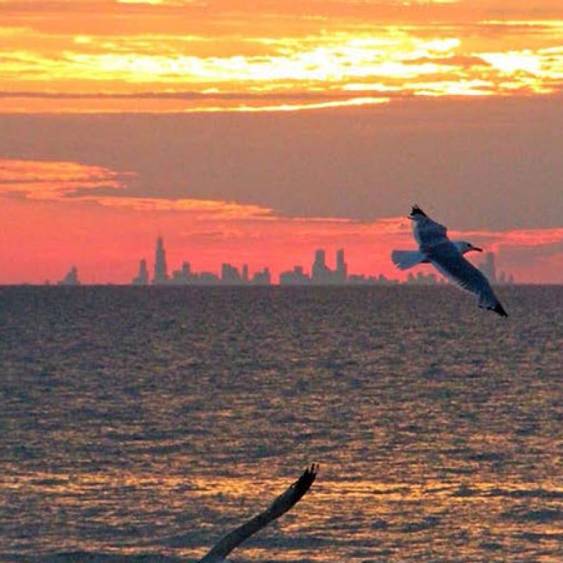 Chicago Skyline from the Dunes