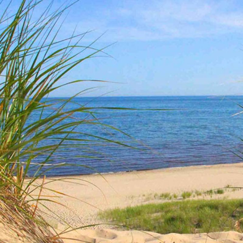 Indiana Dunes State Park